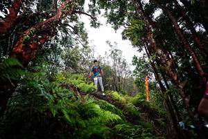 BIB: 
                            <button type="button" onclick="openModal(26203477)" class="btn btn-primary btn-sm float-right btn-popup" data-toggle="modal" data-target=".modal-high-quality">
                        <i class="fas fa-shopping-cart"></i> Add to Cart
                    </button>
                                            <button type="button" onclick="isThisMe(26203477, true)" class="btn btn-success btn-sm float-right btn-popup btn-isme hidden" data-toggle="tooltip" data-placement="bottom" title="นี่คือรูปของคุณใช่ไหม คลิกที่นี่เพื่อเอาเข้าอัลบั้ม">
                        <i class="fas fa-plus"></i> Add to album
                    </button>
                    <button type="button" onclick="isThisMe(26203477, false)" class="btn btn-warning btn-sm float-right btn-popup btn-isnotme hidden">
                        <i class="fas fa-ban"></i> Remove from album
                    </button>